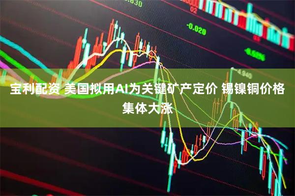 宝利配资 美国拟用AI为关键矿产定价 锡镍铜价格集体大涨