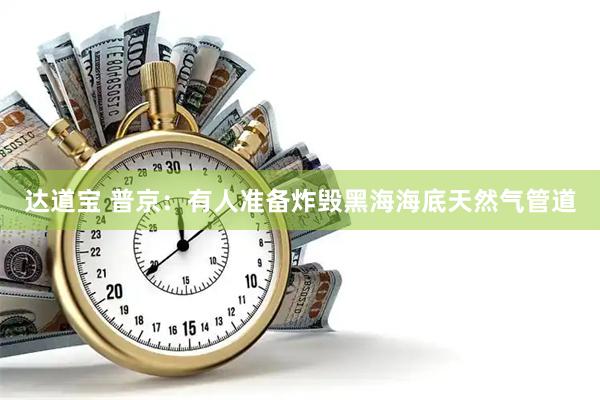 达道宝 普京：有人准备炸毁黑海海底天然气管道