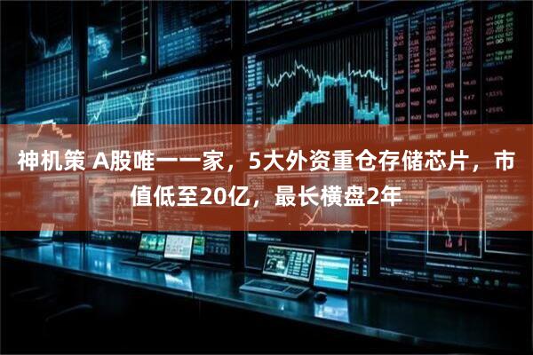 神机策 A股唯一一家，5大外资重仓存储芯片，市值低至20亿，最长横盘2年