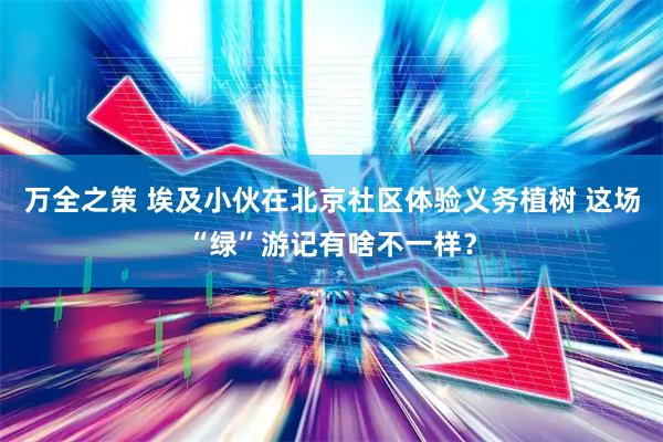 万全之策 埃及小伙在北京社区体验义务植树 这场“绿”游记有啥不一样？