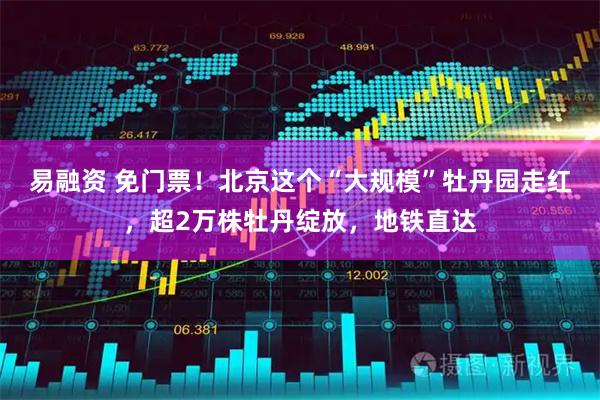 易融资 免门票！北京这个“大规模”牡丹园走红，超2万株牡丹绽放，地铁直达