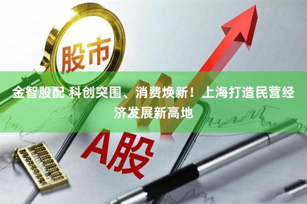 金智股配 科创突围、消费焕新！上海打造民营经济发展新高地