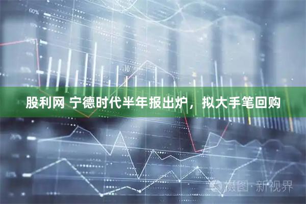 股利网 宁德时代半年报出炉，拟大手笔回购