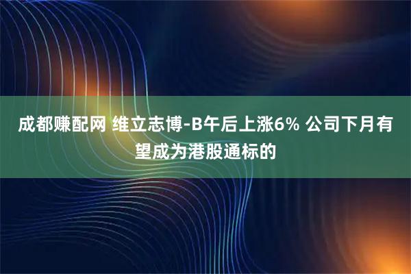 成都赚配网 维立志博-B午后上涨6% 公司下月有望成为港股通标的