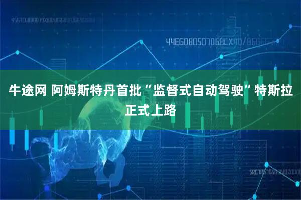 牛途网 阿姆斯特丹首批“监督式自动驾驶”特斯拉正式上路
