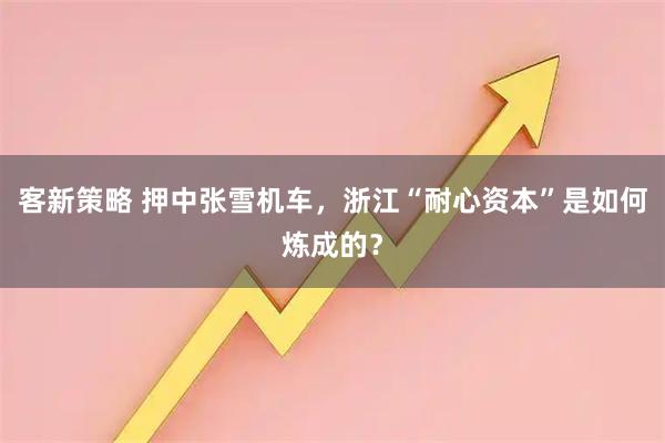 客新策略 押中张雪机车，浙江“耐心资本”是如何炼成的？