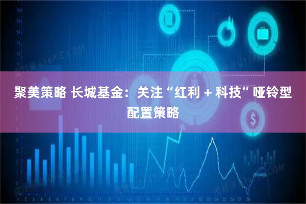 聚美策略 长城基金：关注“红利 + 科技”哑铃型配置策略
