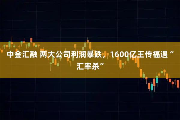 中金汇融 两大公司利润暴跌，1600亿王传福遇“汇率杀”