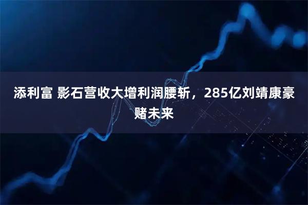 添利富 影石营收大增利润腰斩，285亿刘靖康豪赌未来