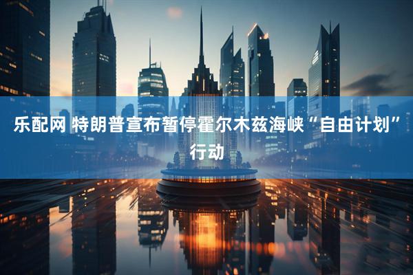乐配网 特朗普宣布暂停霍尔木兹海峡“自由计划”行动